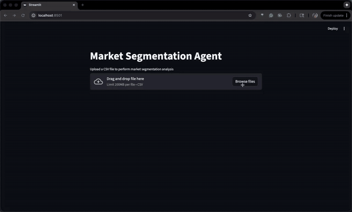 Segmentation Agent demo